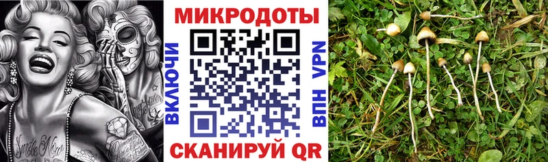 Галлюциногенные грибы ЛСД  Гудермес 